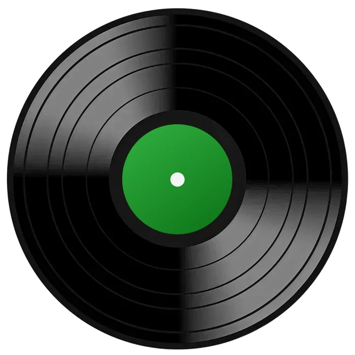 Vinyl record